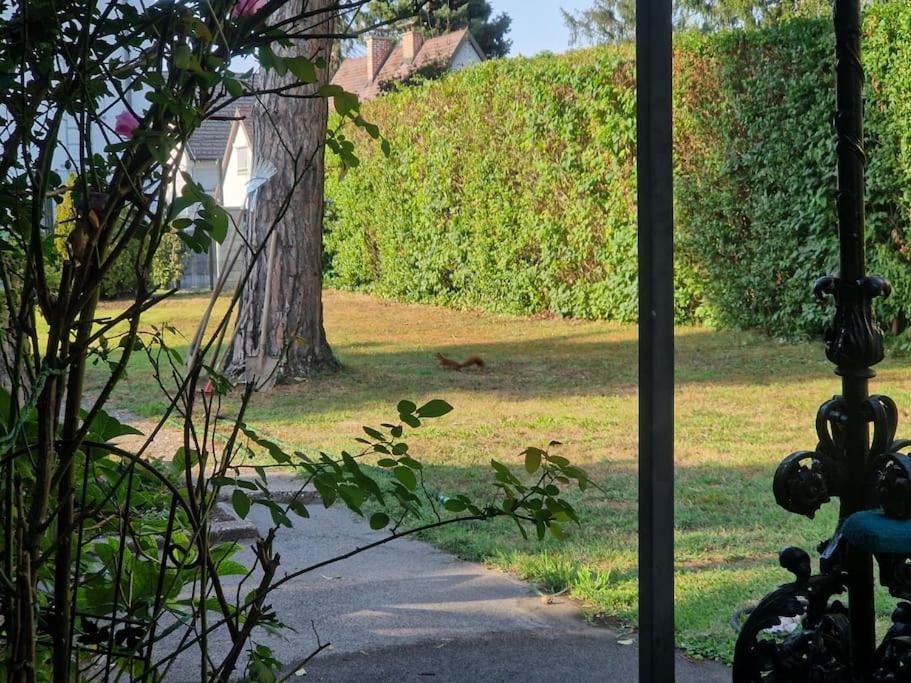 Haus Mit Garten, U Bahn Naehe, Gratis Parkplaetze Viena Exterior foto